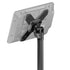 VESA Holder | 75mm To 100mm | 20mm Ball